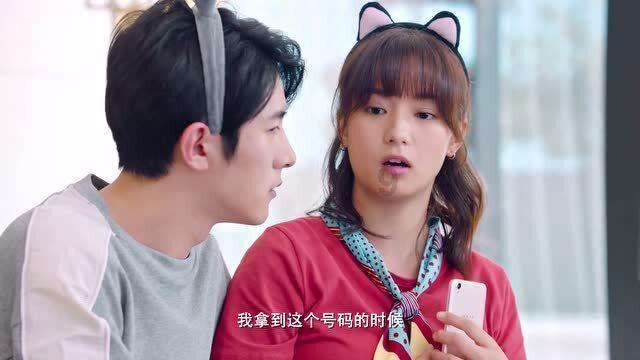 小猫钓鱼正版下载中文版