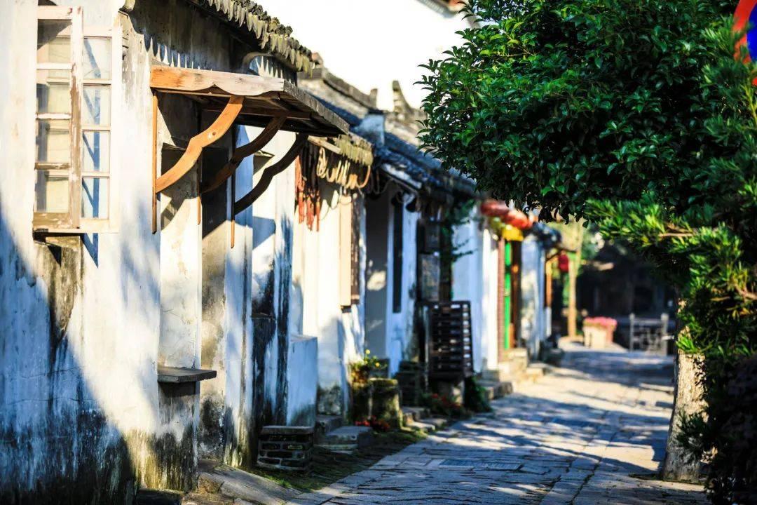 脑洞小老弟无实名认证